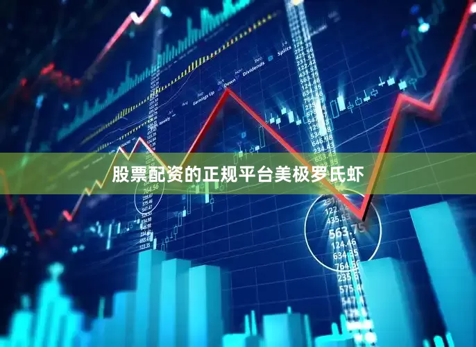 股票配资的正规平台美极罗氏虾